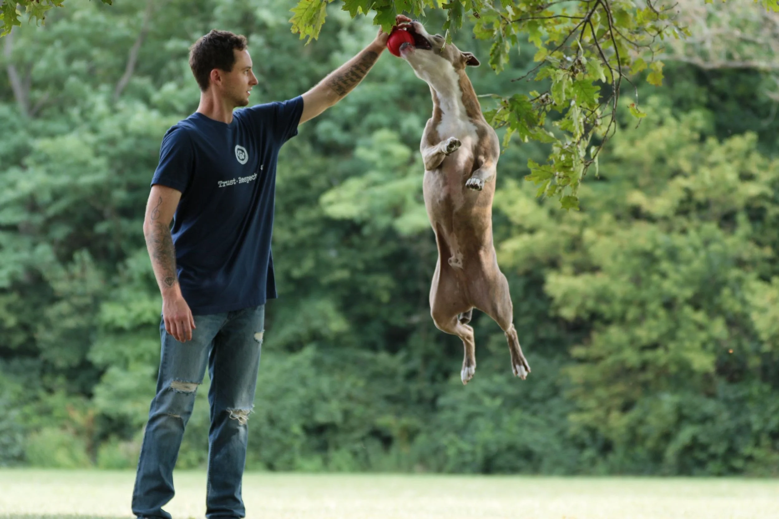 man playing with his dog
