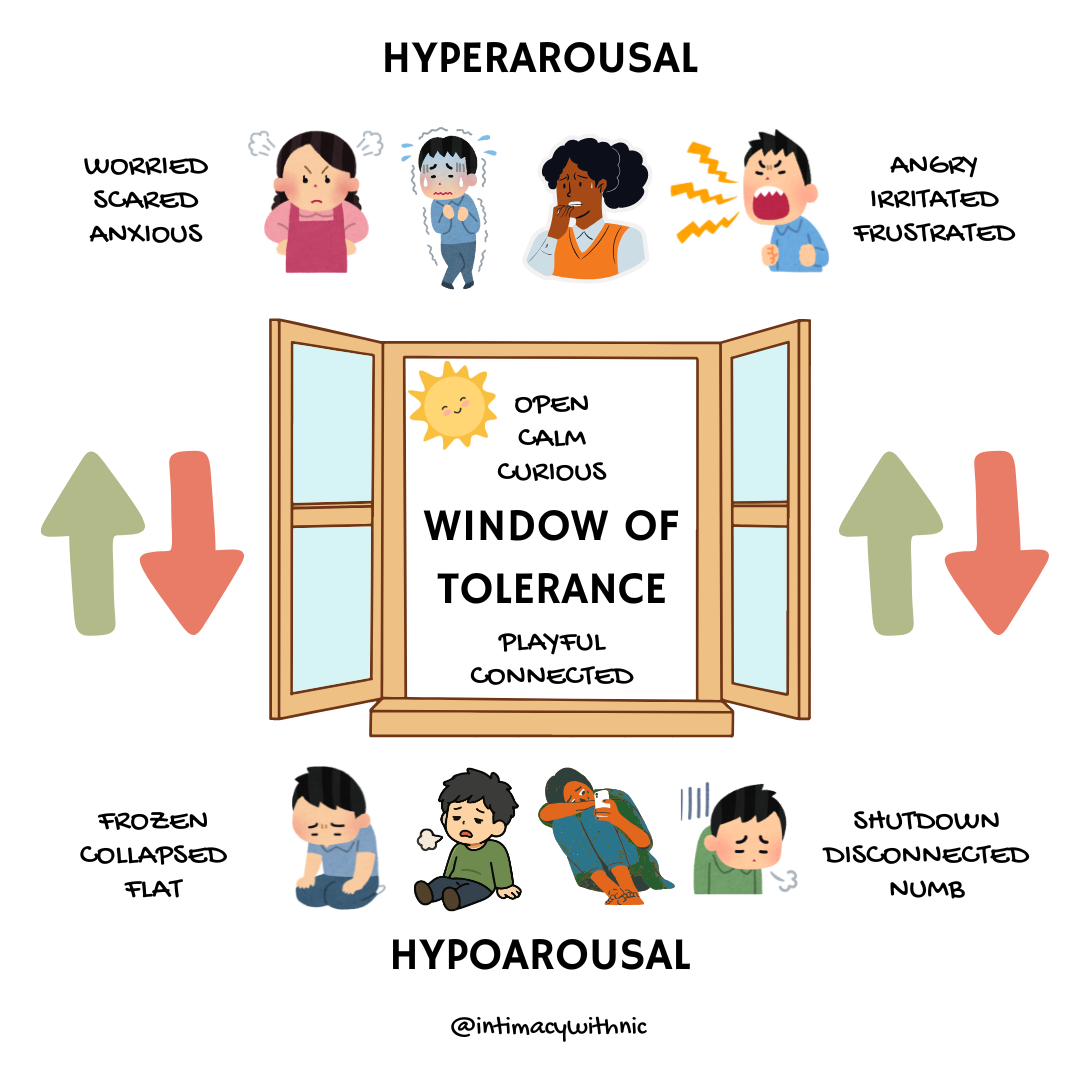 window of tolerance