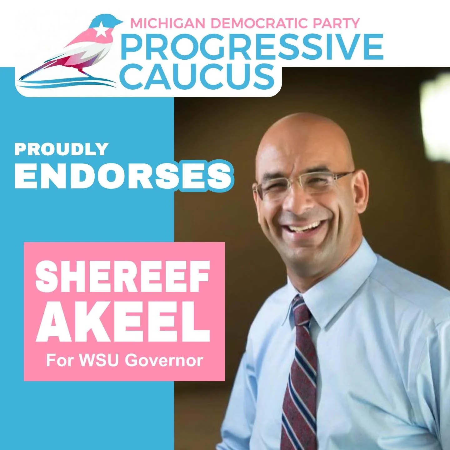 The MDP Progressive Caucus is proud to&nbsp;endorse Shereef Akeel for Wayne State University Board of Governors!