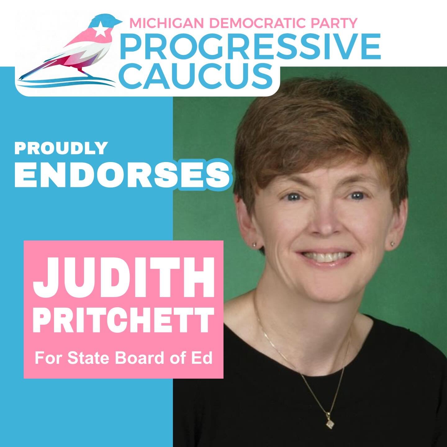 The MDP Progressive Caucus is proud to&nbsp;endorse Judy Pritchett for Michigan State Board of Education!