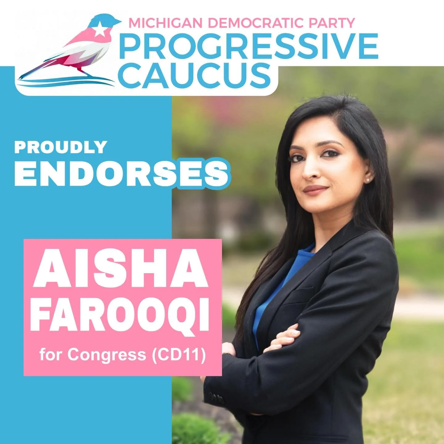 The MDP Progressive Caucus is proud to&nbsp;endorse Aisha Farooqi for Congress (CD-11)!
