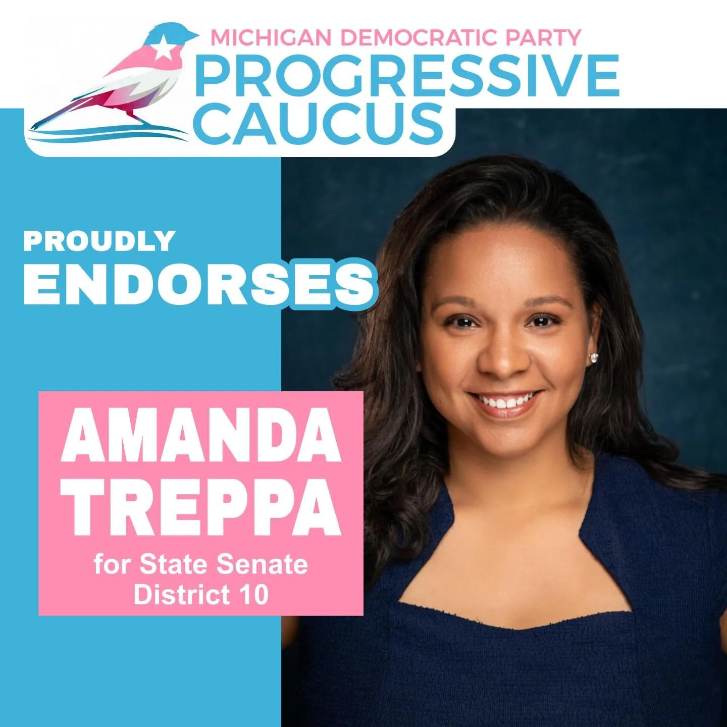 The MDP Progressive Caucus is proud to&nbsp;endorse Amanda Treppa for Michigan State Senate District 10!
