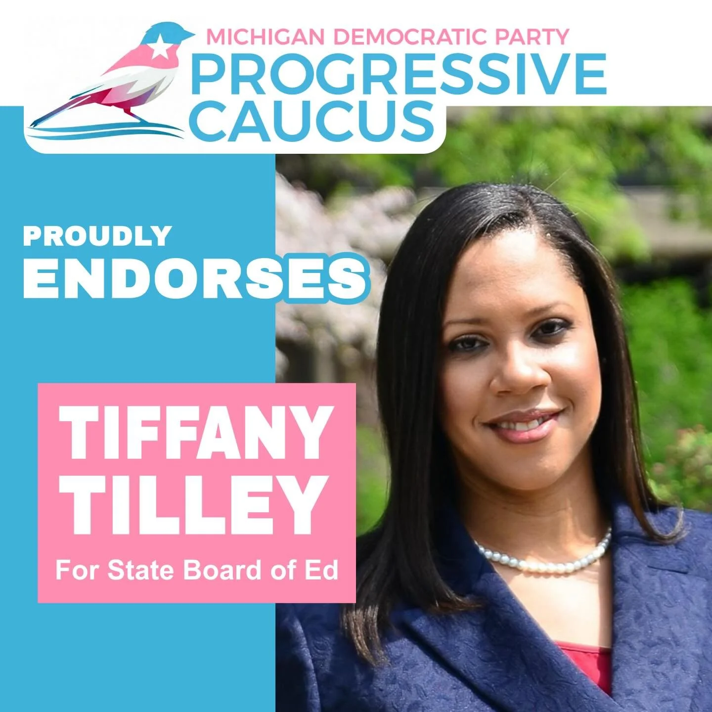 The MDP Progressive Caucus is proud to&nbsp;endorse Tiffany Tilley for Michigan State Board of Education!