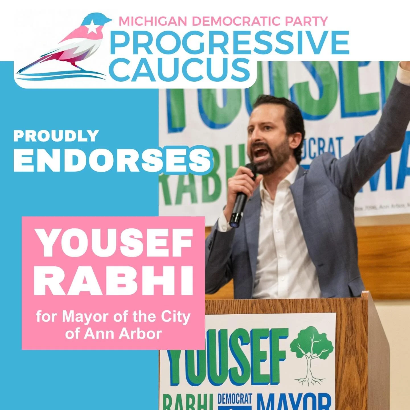The MDP Progressive Caucus is proud to&nbsp;endorse Yousef Rabhi for Mayor of Ann Arbor!