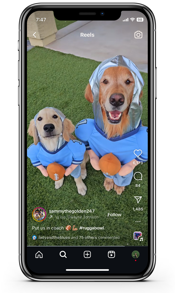 Pets competing for spills on Ruggable rugs