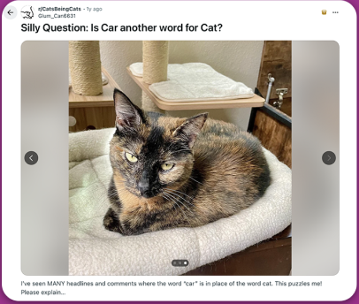 Silly question: is car another word for cat?