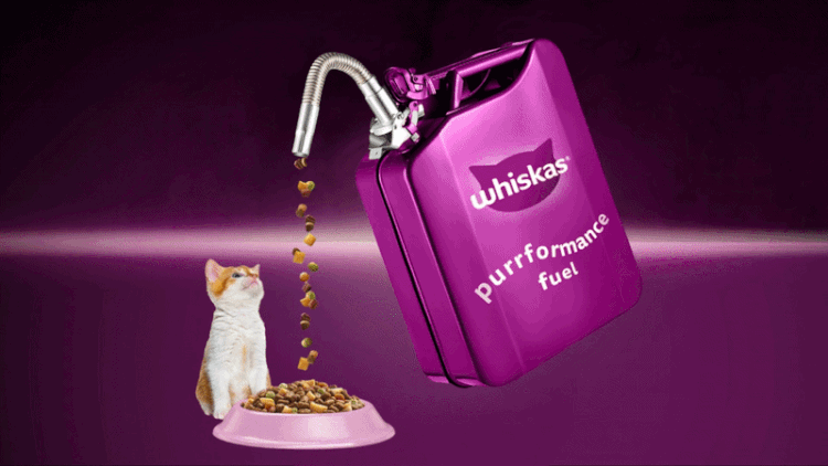 Whiskas