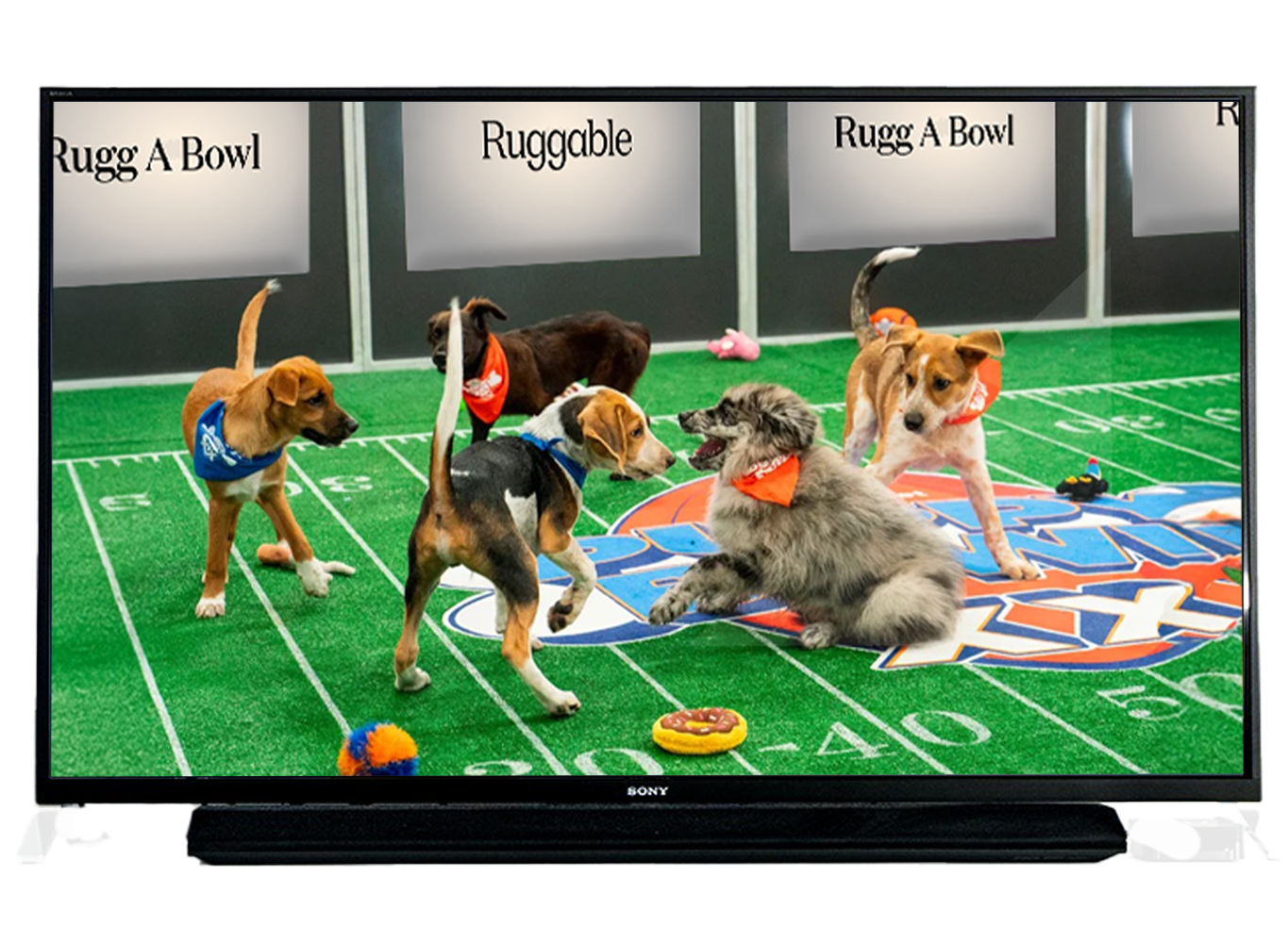 Rugg A Bowl broadcast on TV during game day