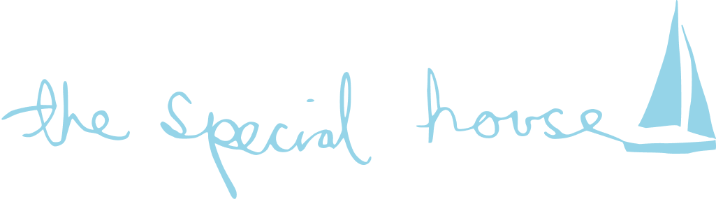 THE SPECIAL HOUSE