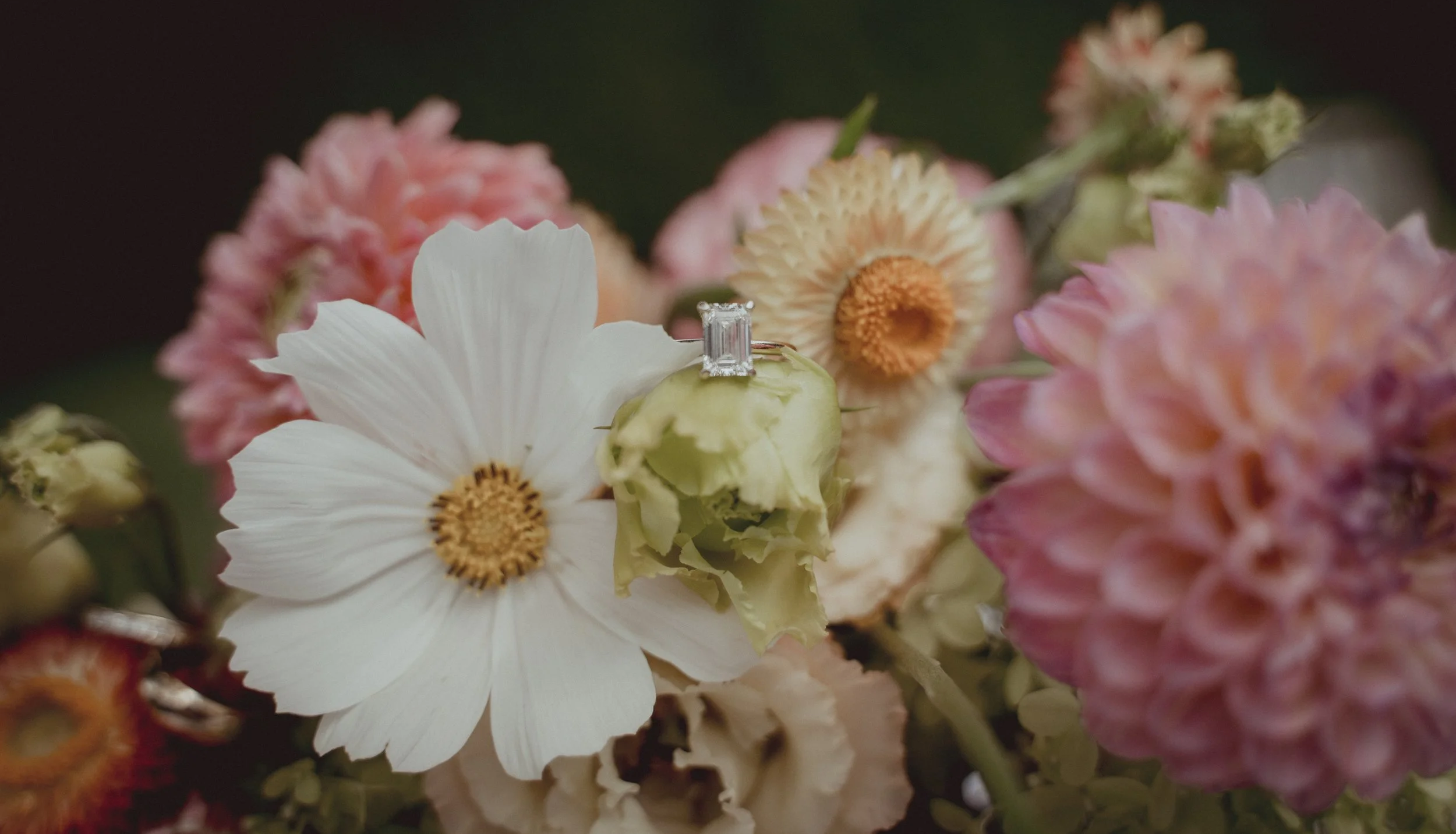 R & C Wedding