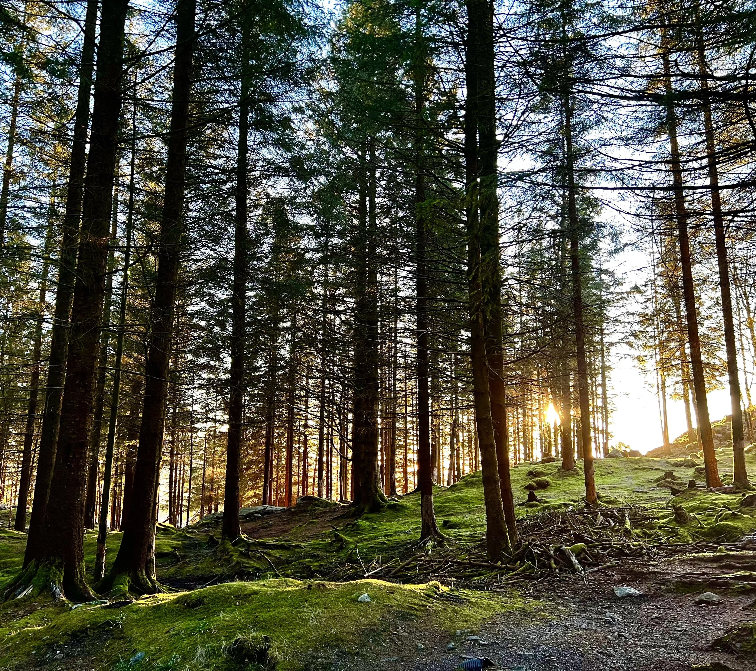 Joy Gailer and Rose Allin can help you reduce stress naturally to create positive change for health and wellness through hypnotherapy and safe use of medicines