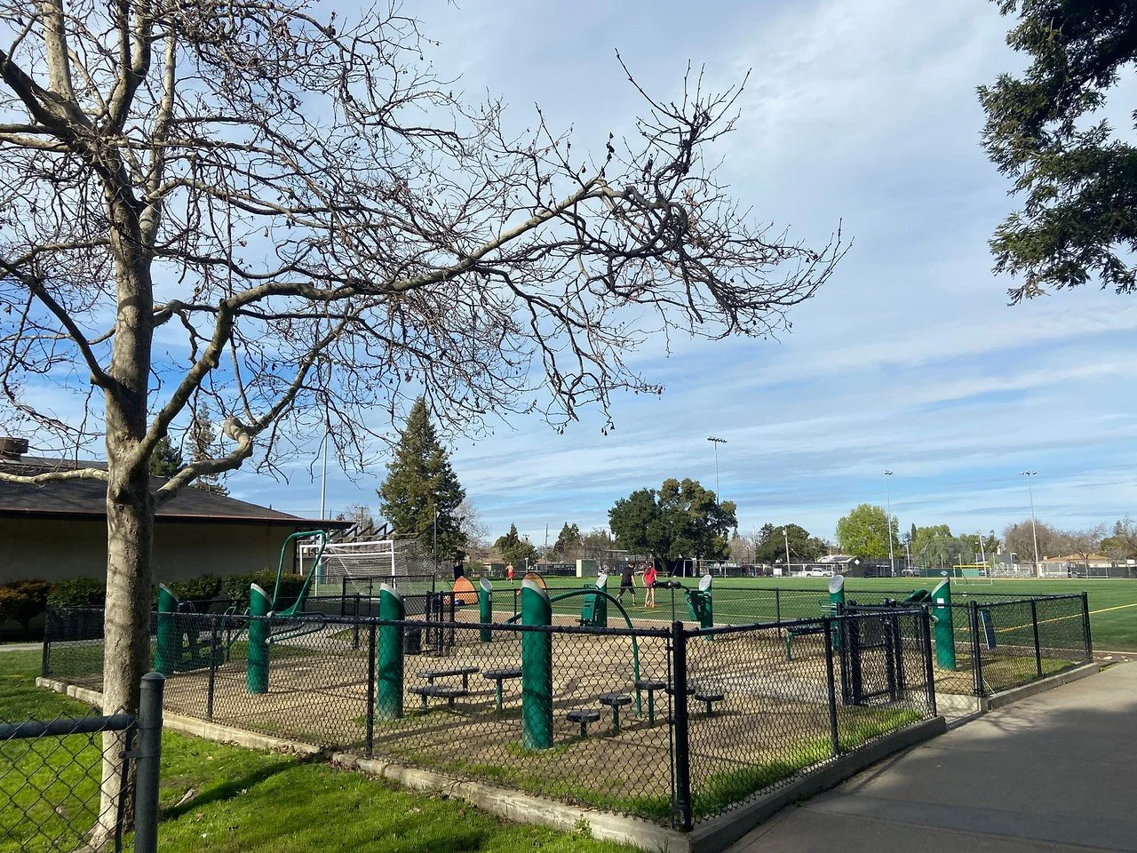 Red Morton Exercise-X2.jpg