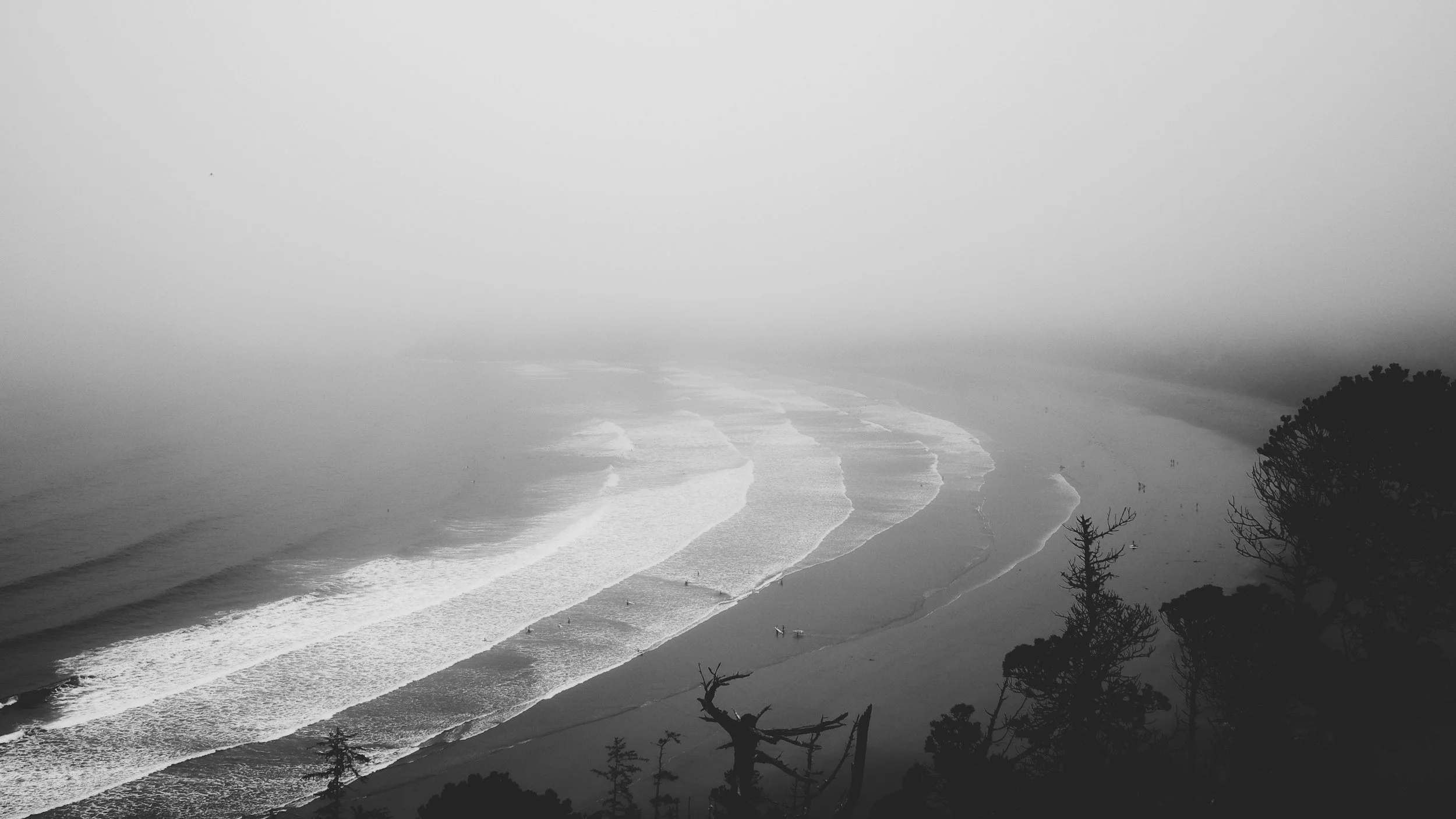 Black and white photo of a foggy beach with waves and silhouetted trees