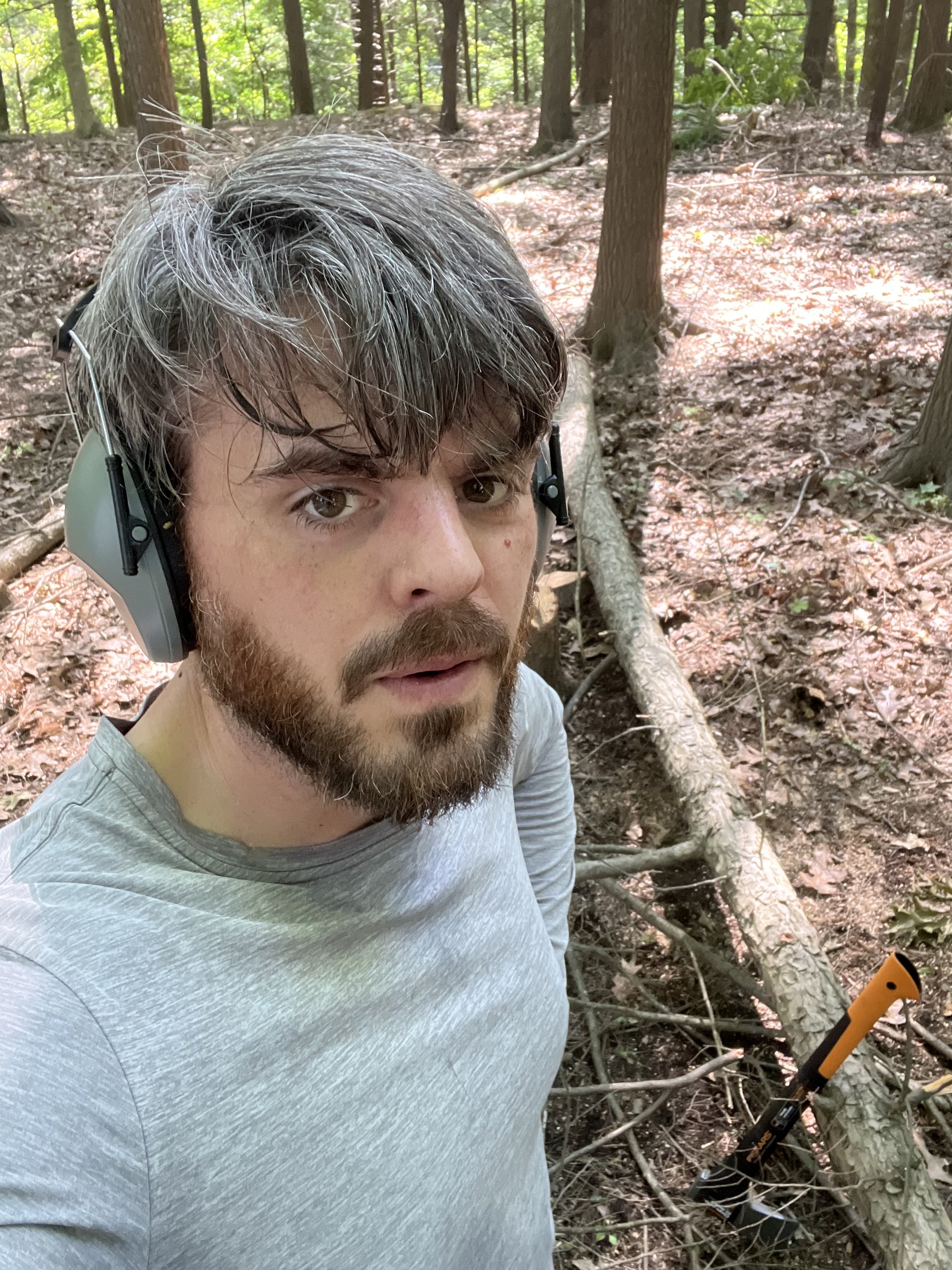 Wandering In the Woods