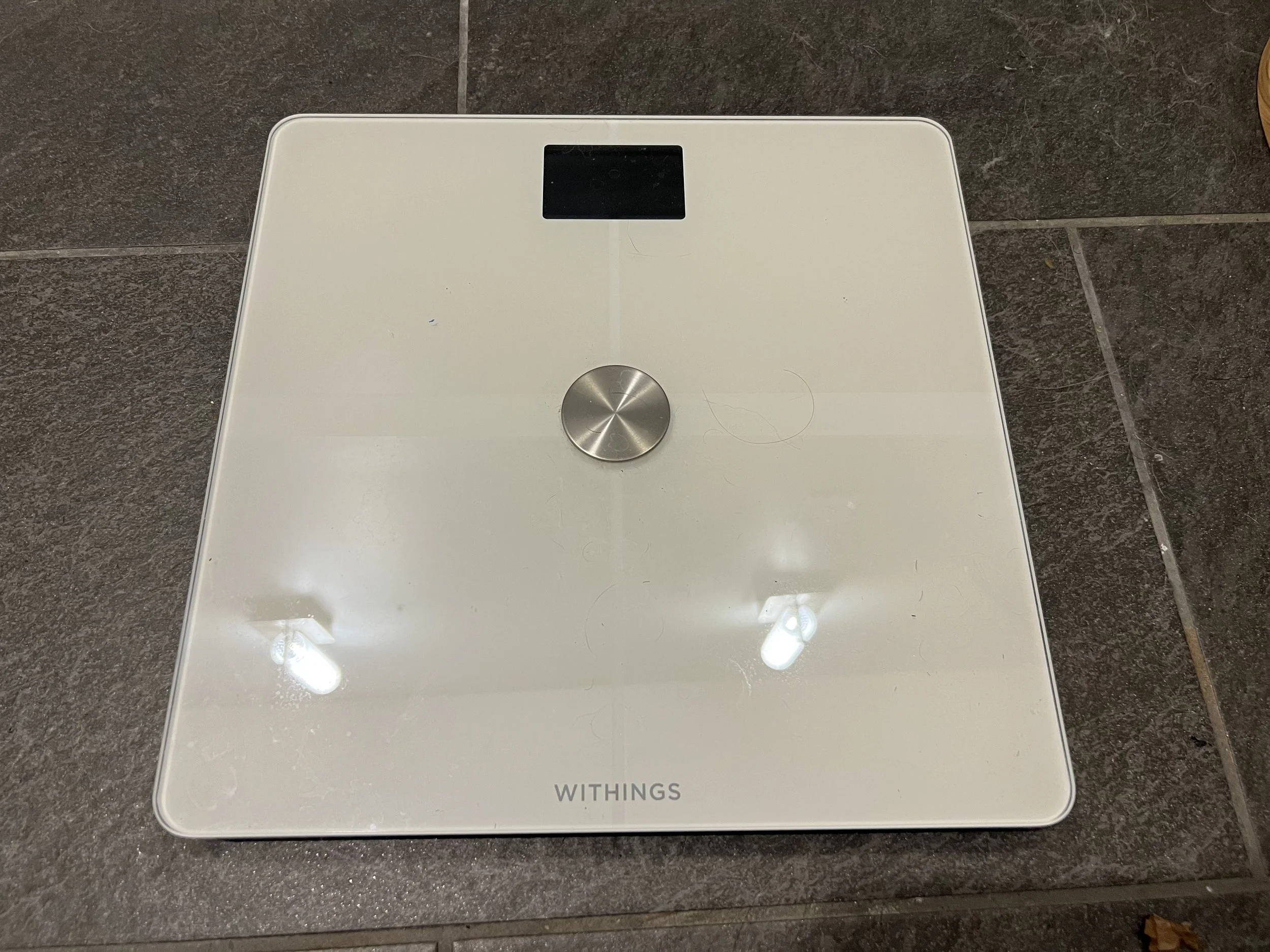 White scale on a grey tile floor