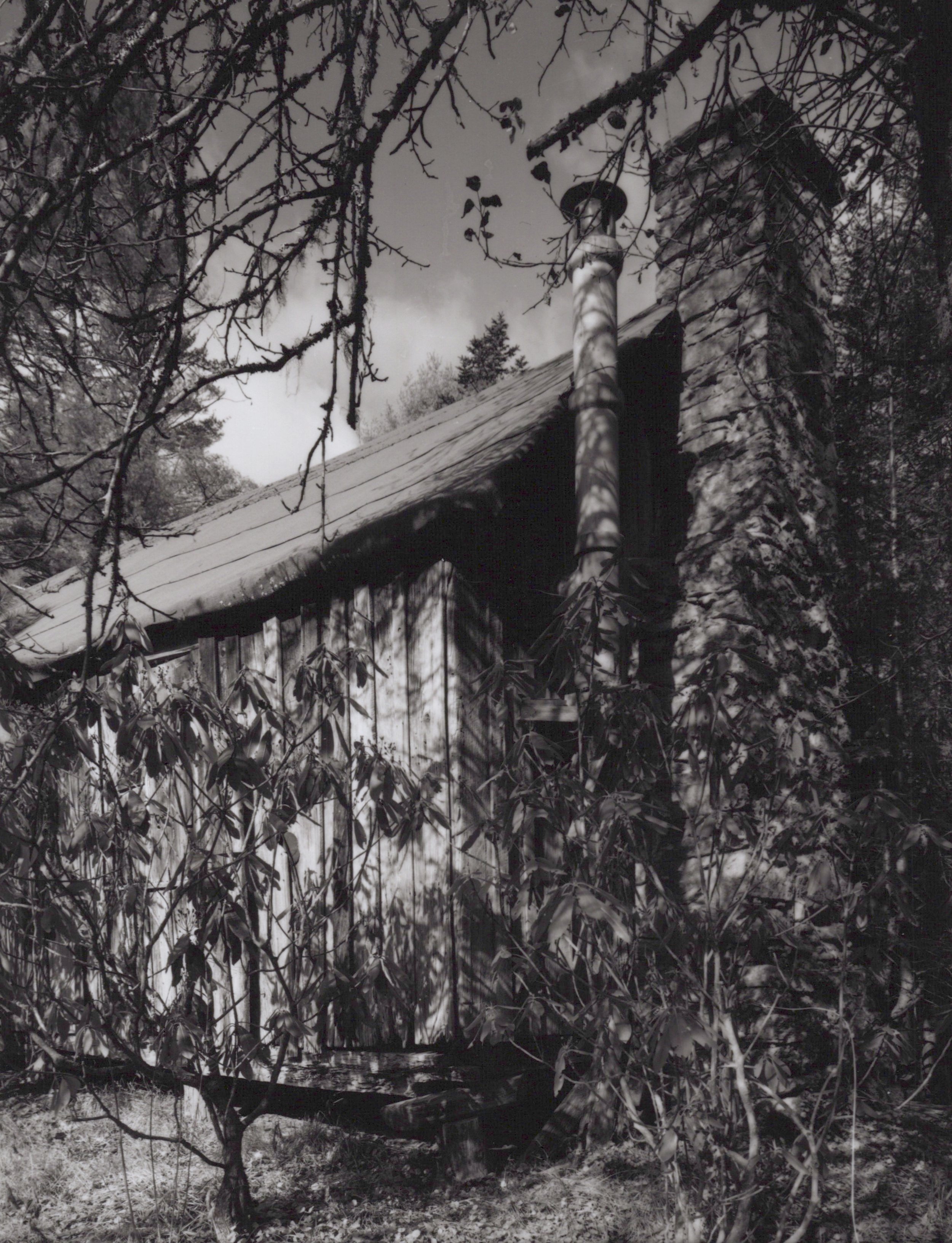FastFoto_0013_a+%281%29.jpg