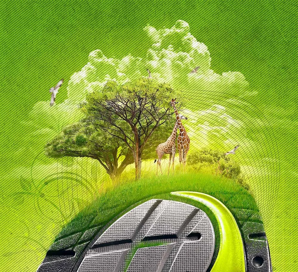 abeo green click through.jpg