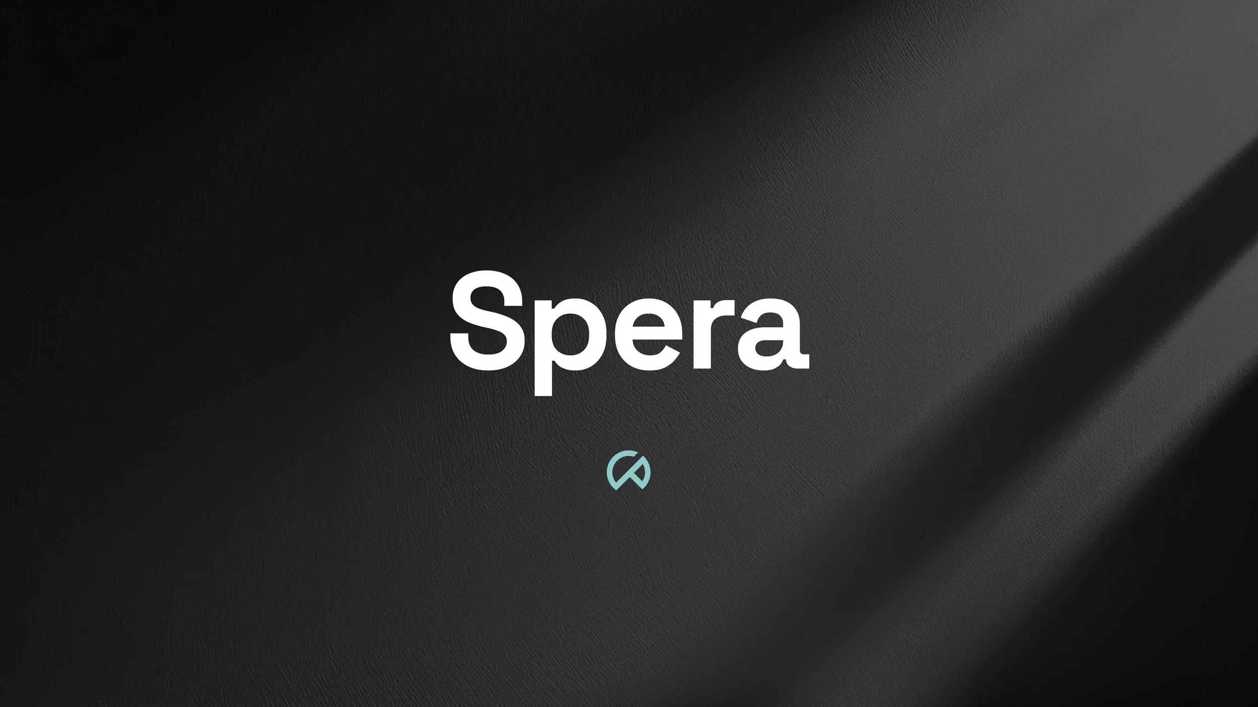Spera Process Book.jpg