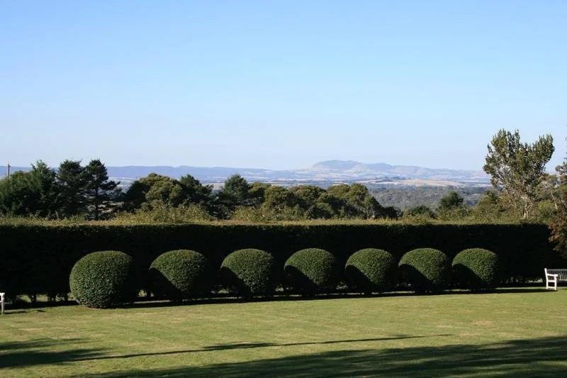 hesket hedges.jpeg