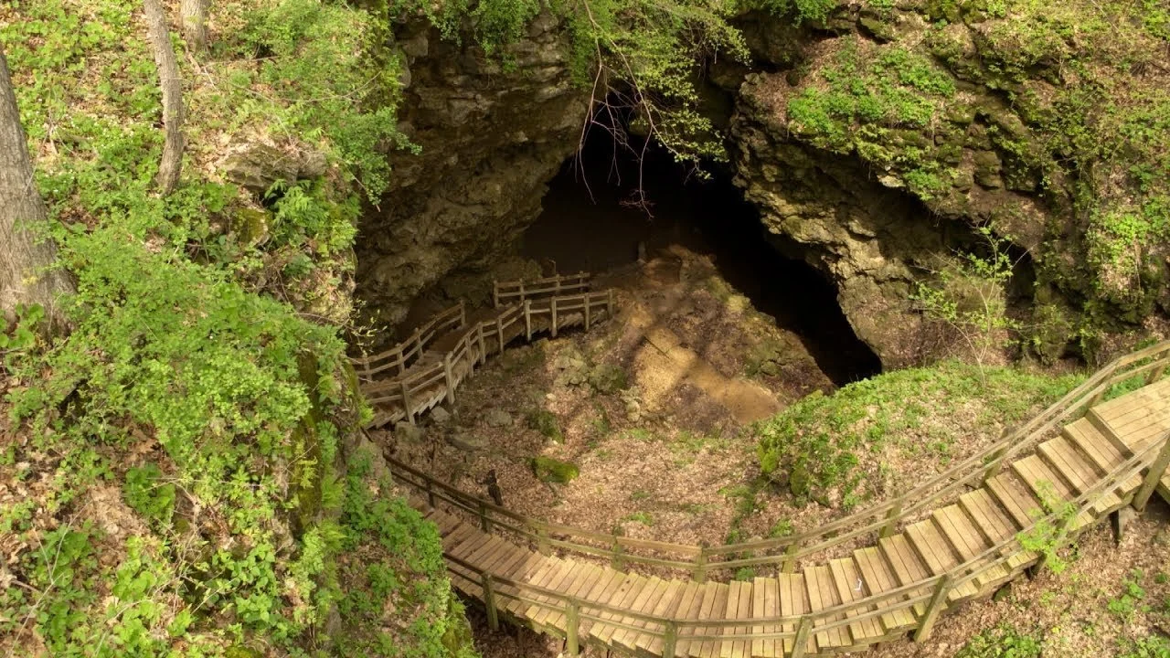 Wooden walkway leading into a dark cave surrounded by green trees and shrubs.