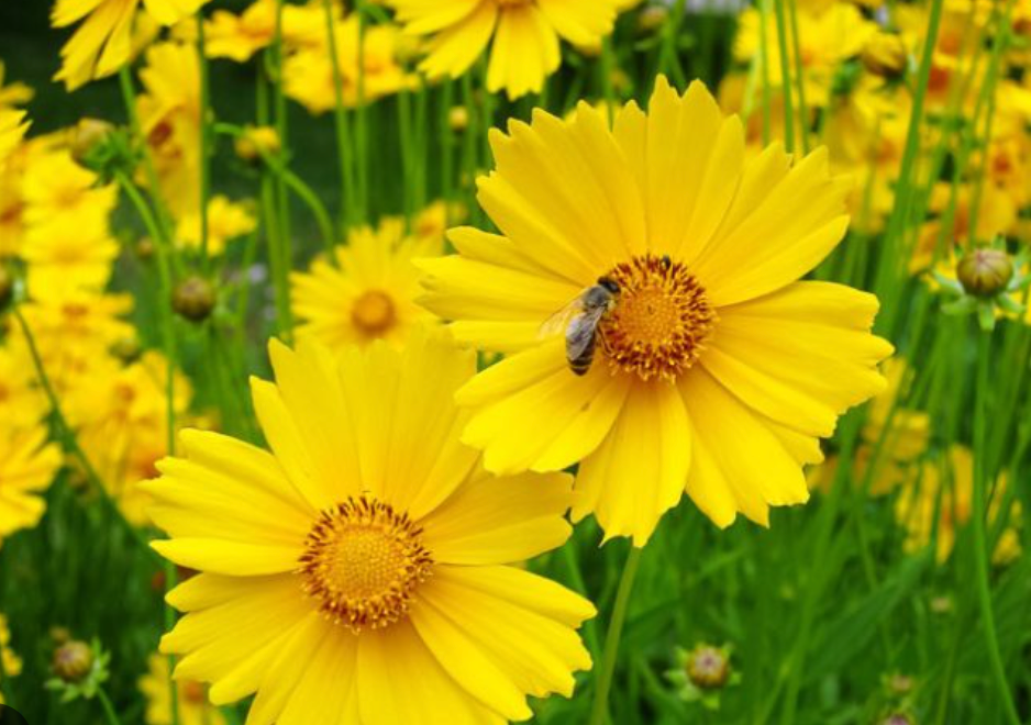 The Ray and City of Doraville Partner to Transform Urban Roadside Assets