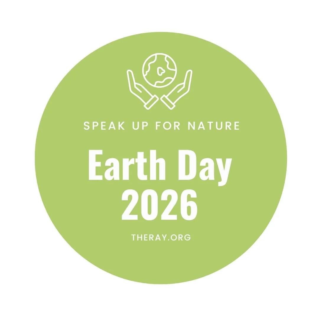 Today, we are celebrating Earth Day by honoring the beauty, resilience, and future of our planet. Every small action counts: reduce, reuse, protect, and give back. Let&rsquo;s commit to creating a better world for generations to come. 🌍✨
#EarthDay #