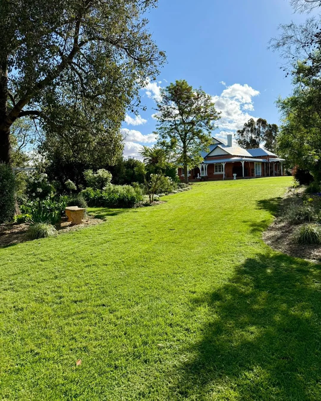 The laneway ✨ between &ldquo;I do&rdquo; and the first glass raised, the lane way leads guests from the ceremony to the celebration.  #Farmweddingvenue #countryhousewedding #alburywedding #ruralwedding #waggawedding #farmwedding #countryweddings #gar