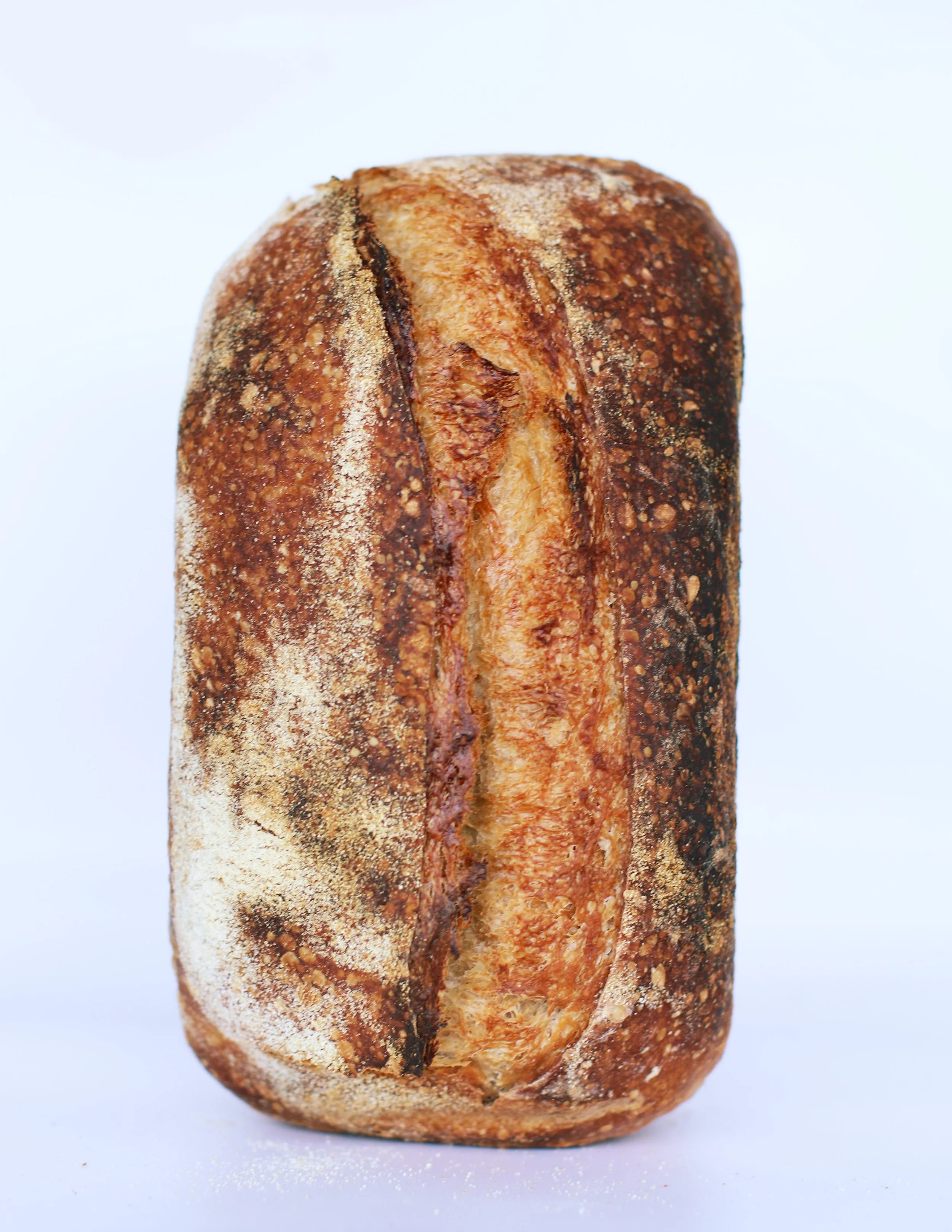 Brotduft-01.jpg