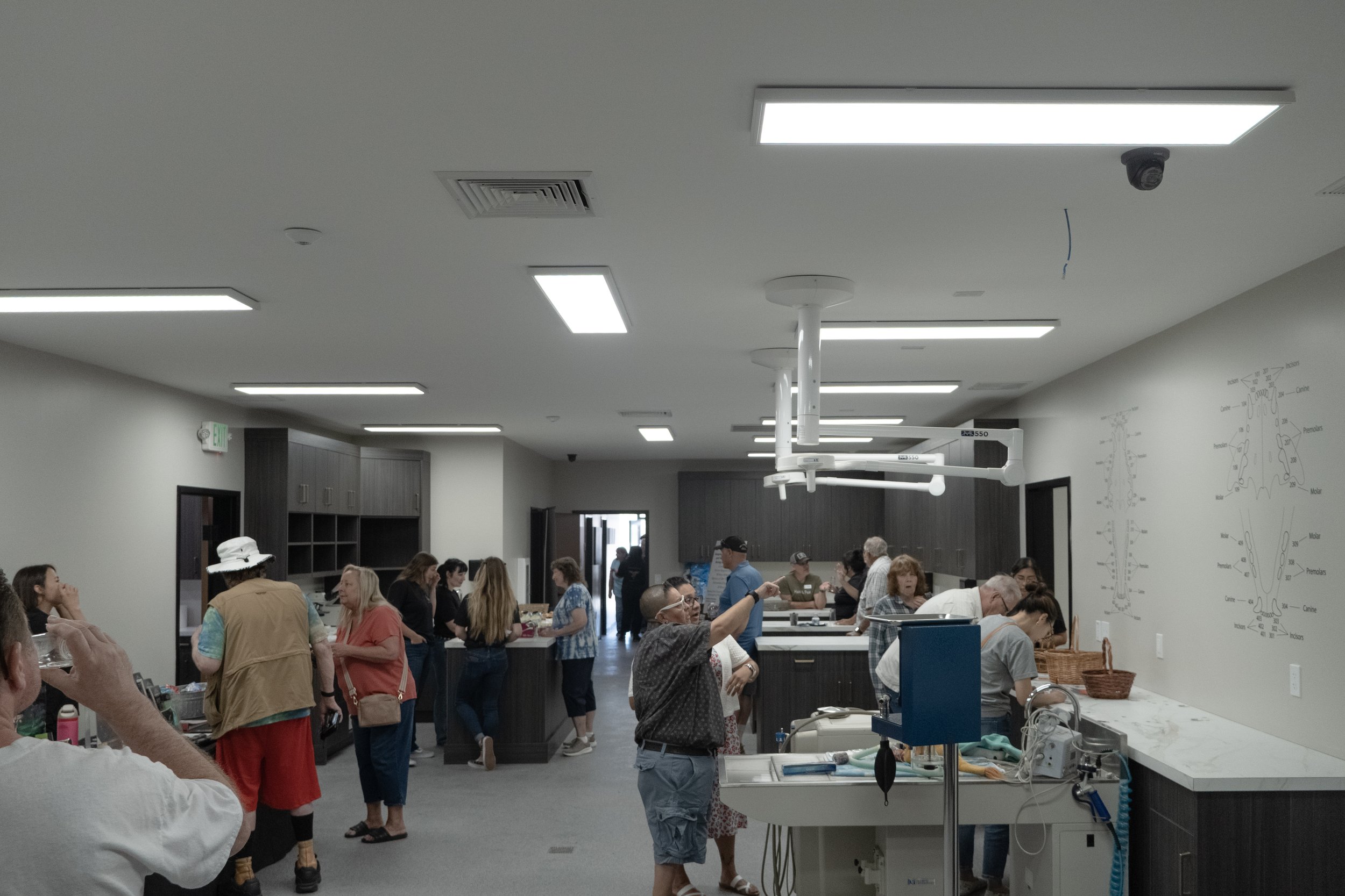 DSC08784.jpg