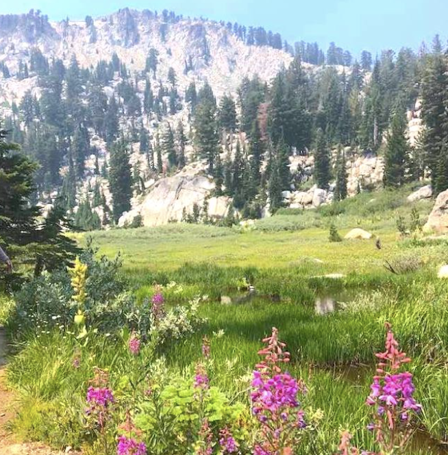 Screenshot 2025-05-22 at 12.09.36 PM.png