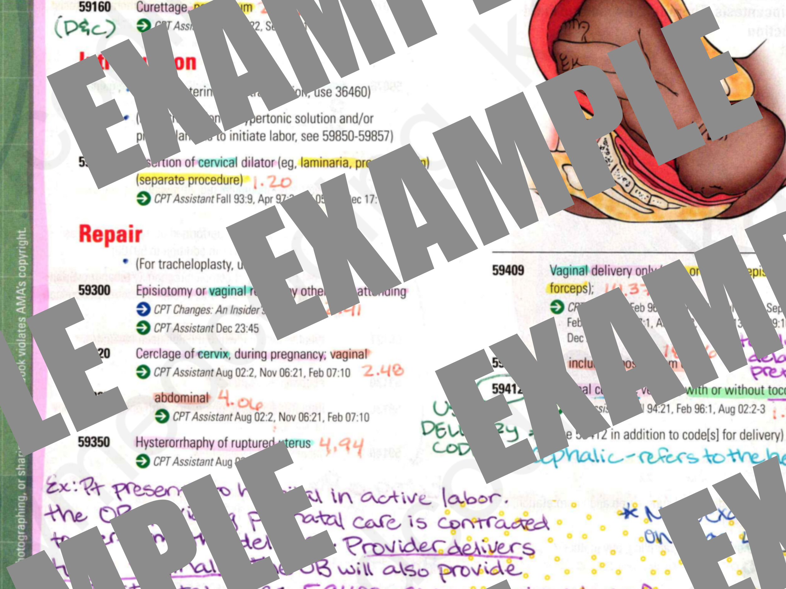ex3.png
