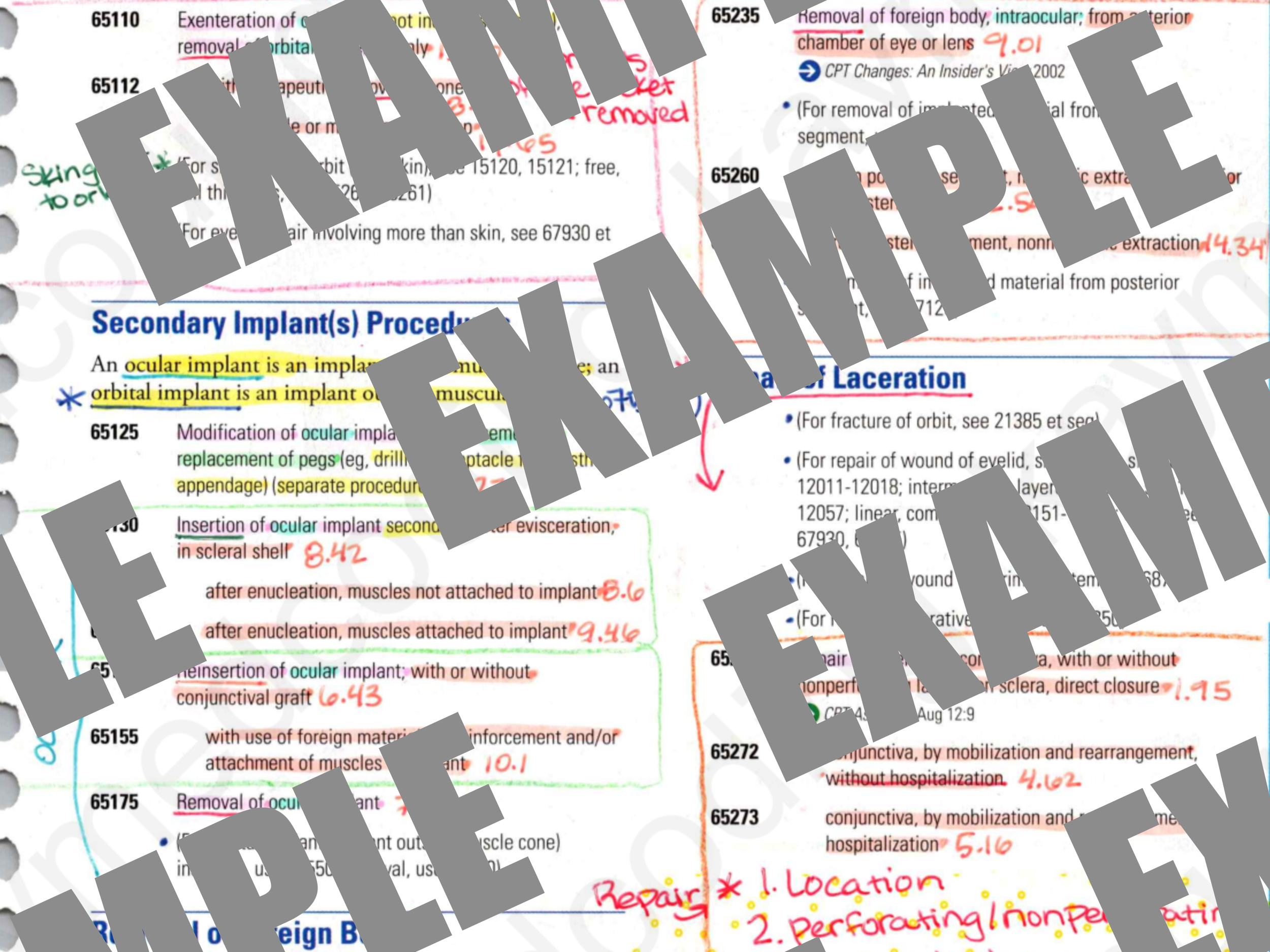 ex1.png
