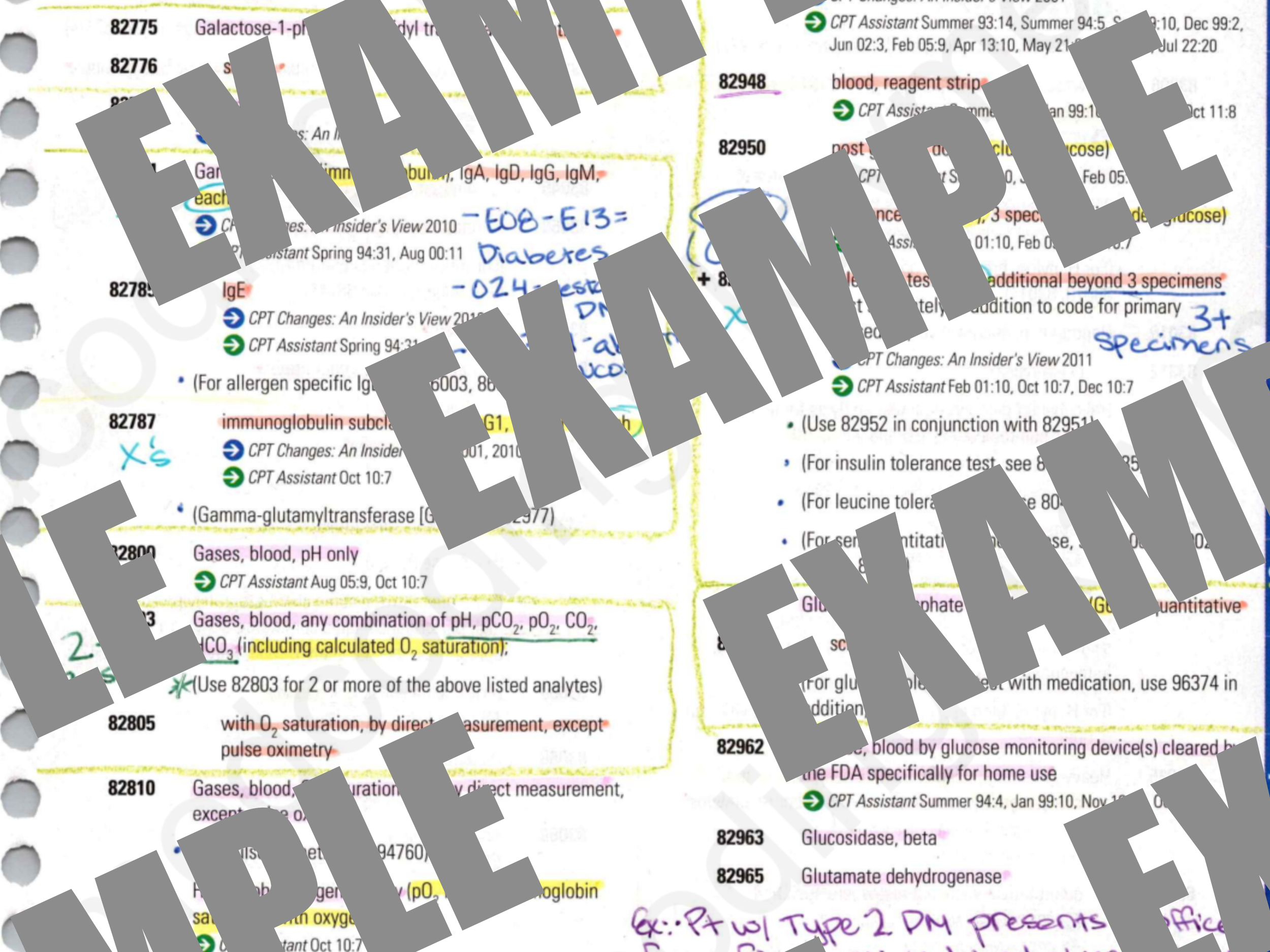 ex3.png