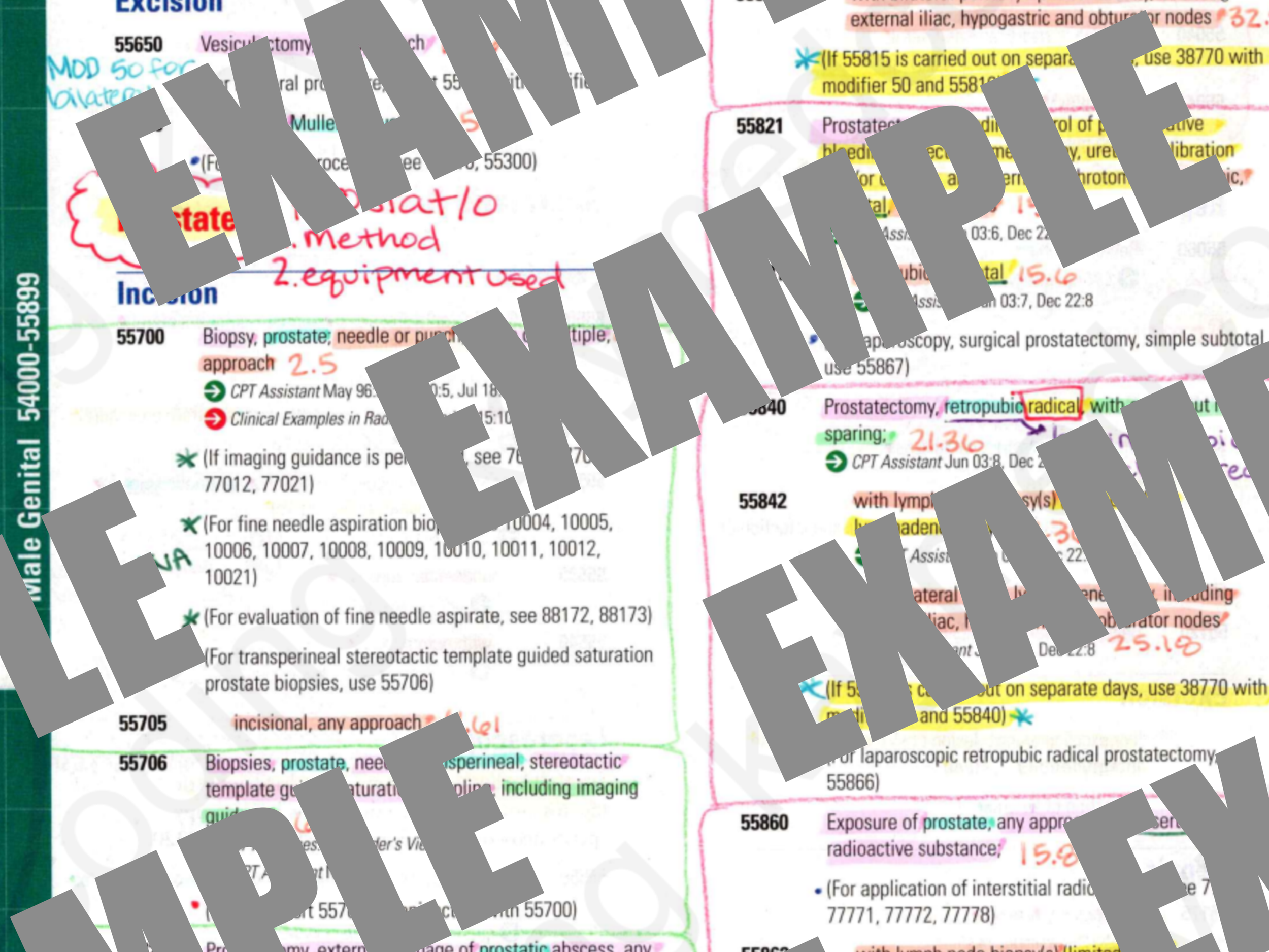 ex1.png