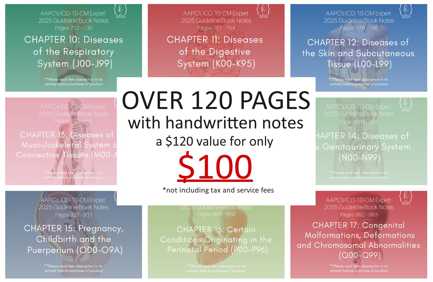 bundle2.jpg