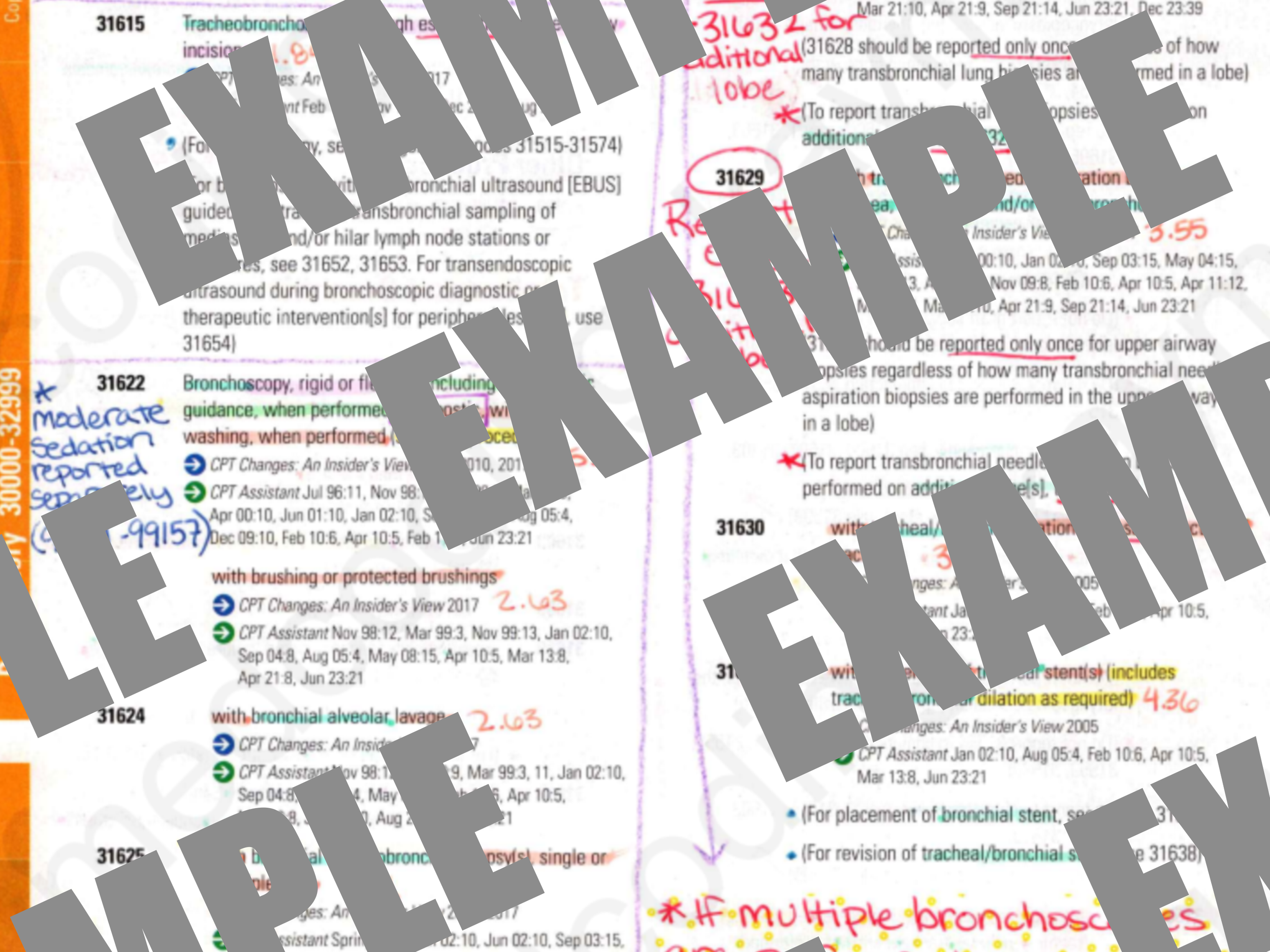 ex2.png