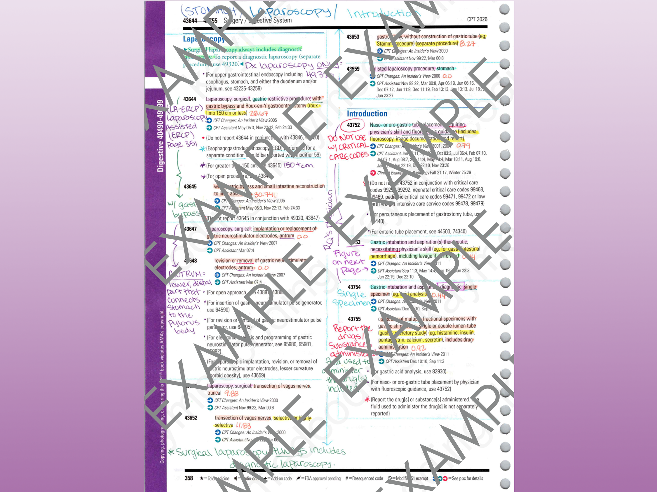 example2.png