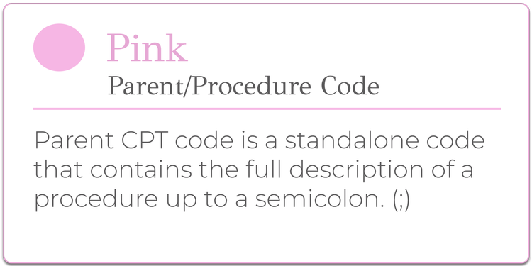 Color Coding Guide — kaymedcoding