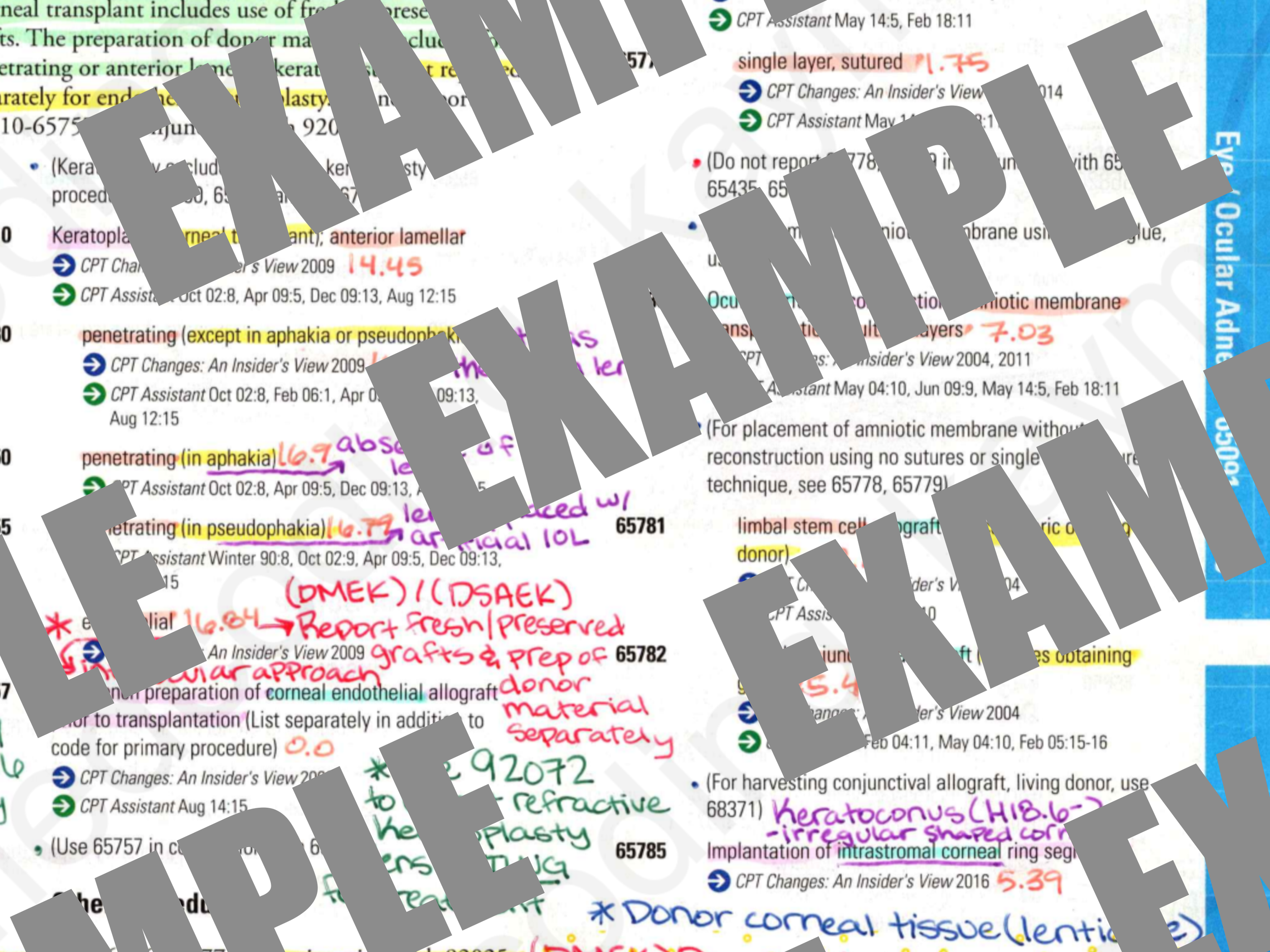 ex2.png