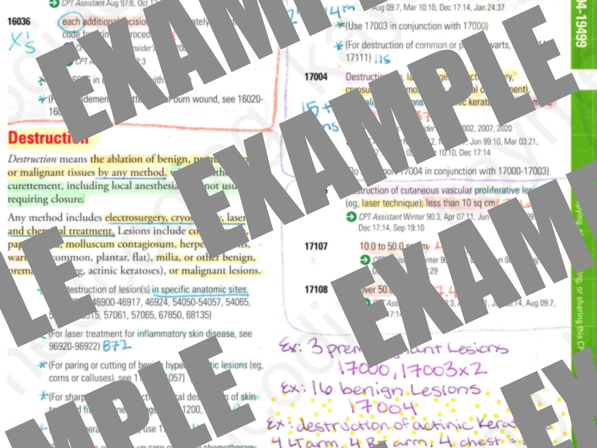 ex.png