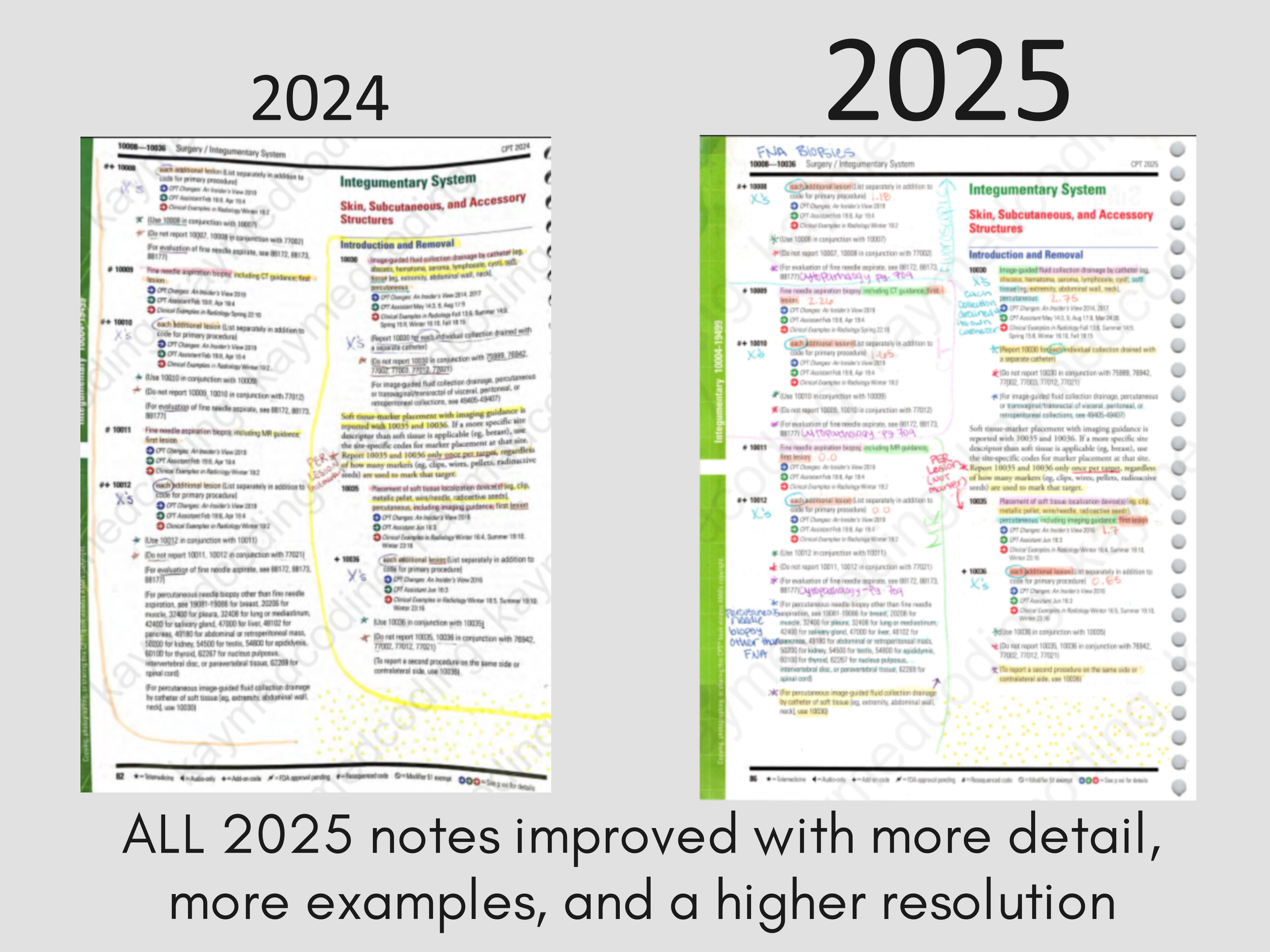 2024to2025CPT.png