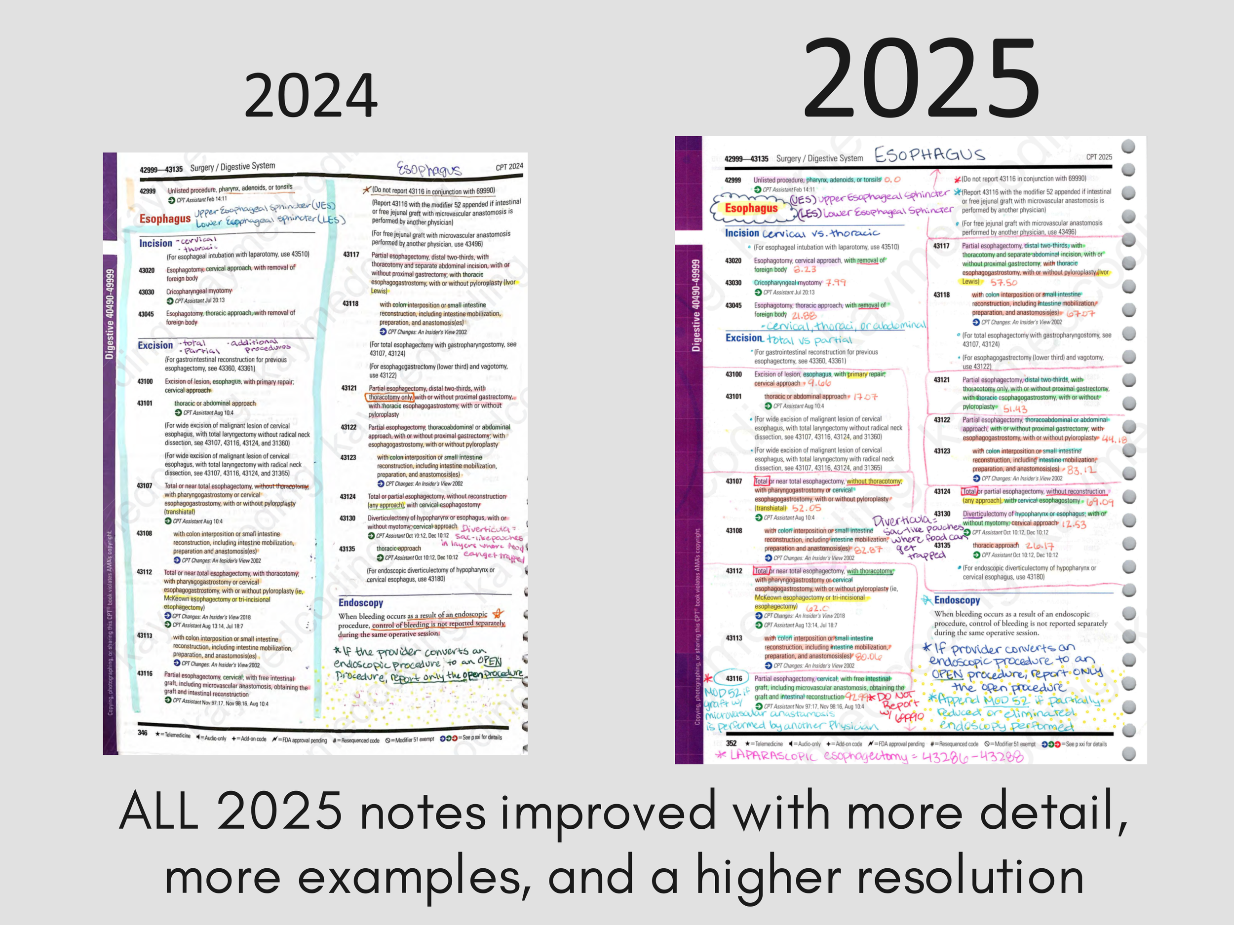 2024to2025CPT-2.png