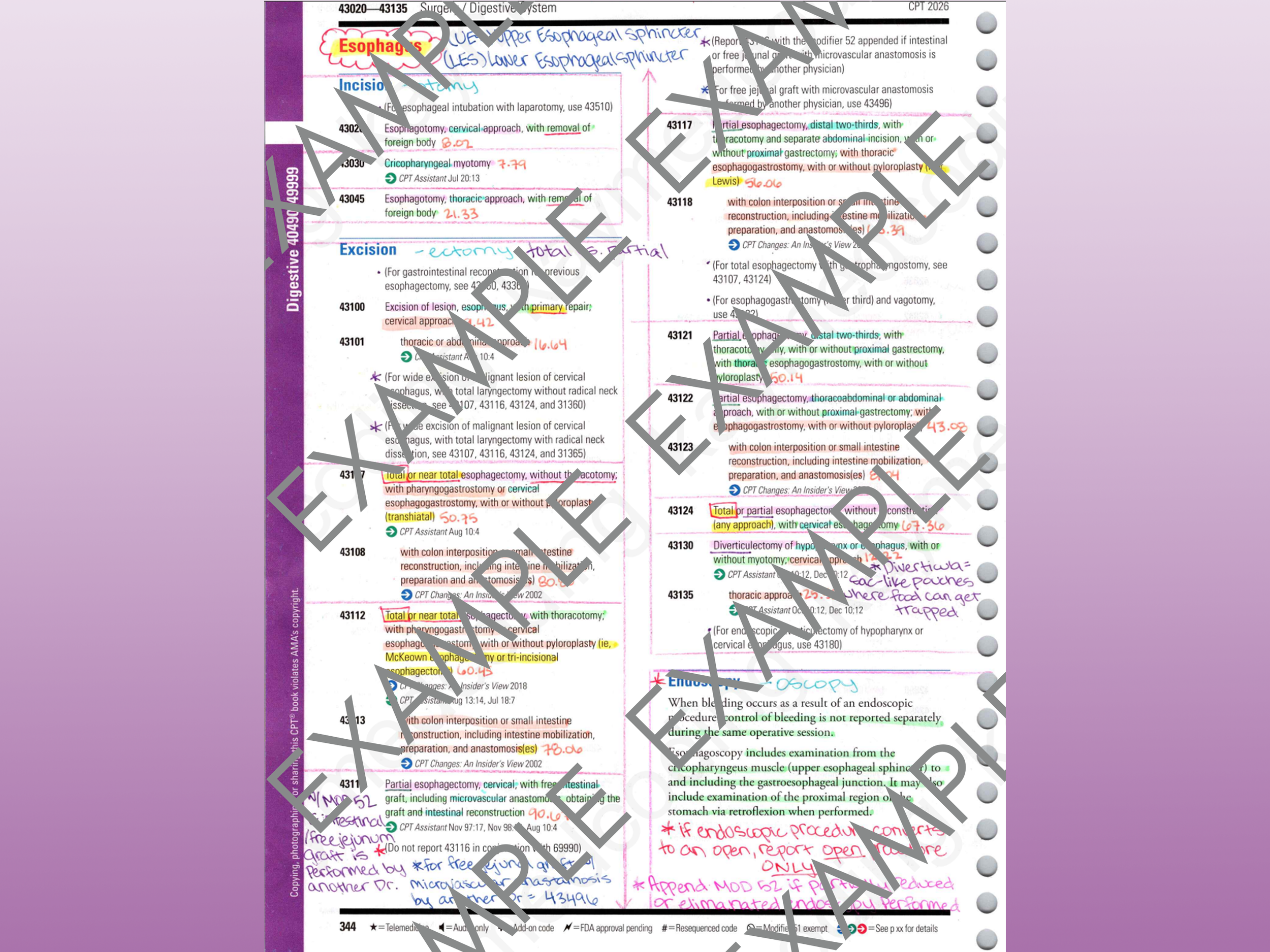 example1.png