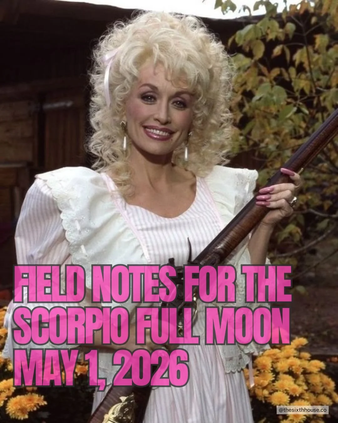 MAY 2026 VIBES: full moon in scorpio (SPOOKY), sun in taurus (yummy), sun moves to gemini (jittery). overall? consequential. prepare yourselves accordingly. more keywords for each rising sign below and in this month&rsquo;s SKY THEORY report, now ava