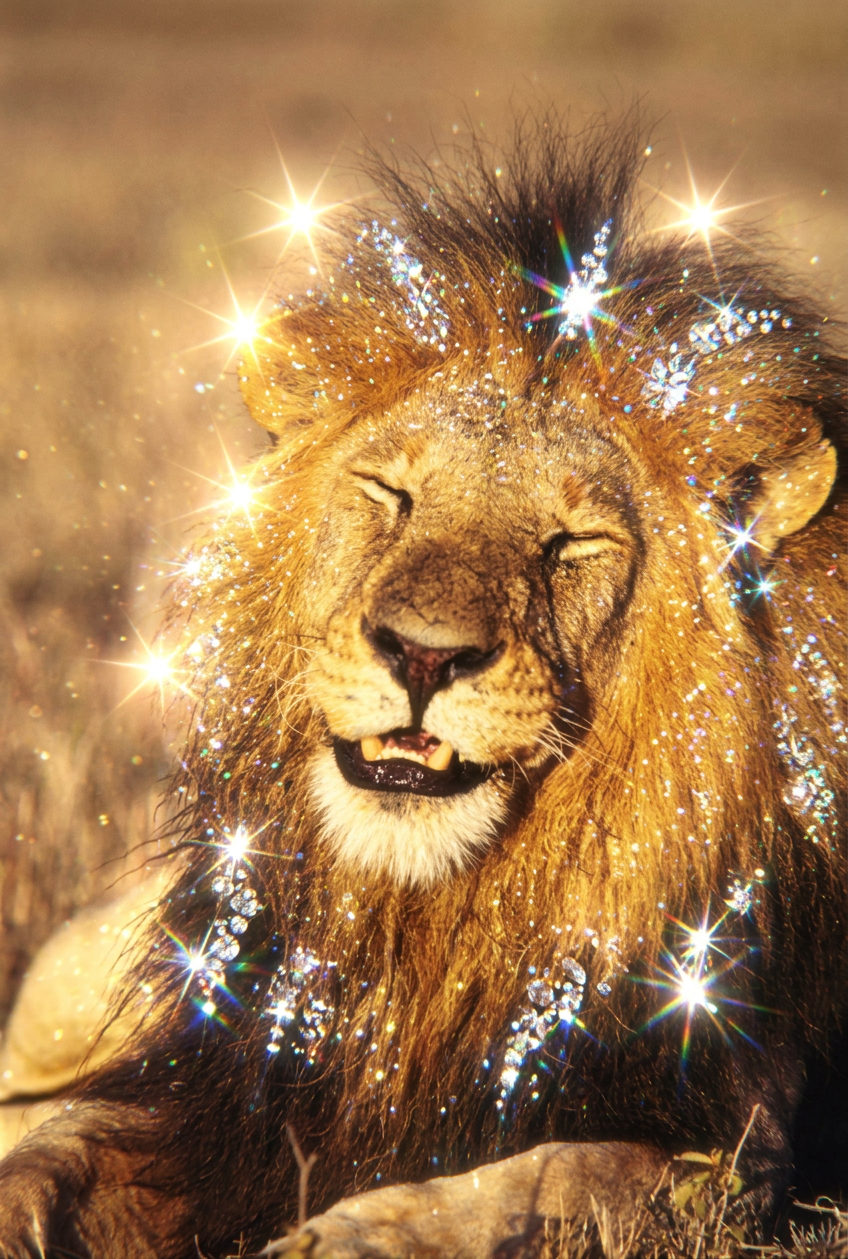 The Truth about Jupiter in Leo