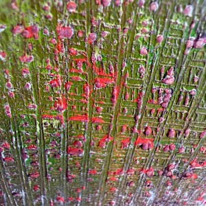 Take the trip detail 6.jpg