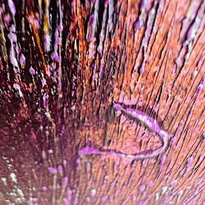 Leave it behind detail 1.jpg