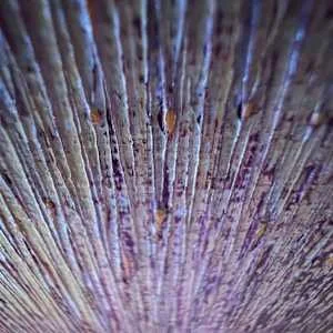 Shift 2 detail 1.jpg