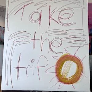 Take the trip start.jpg