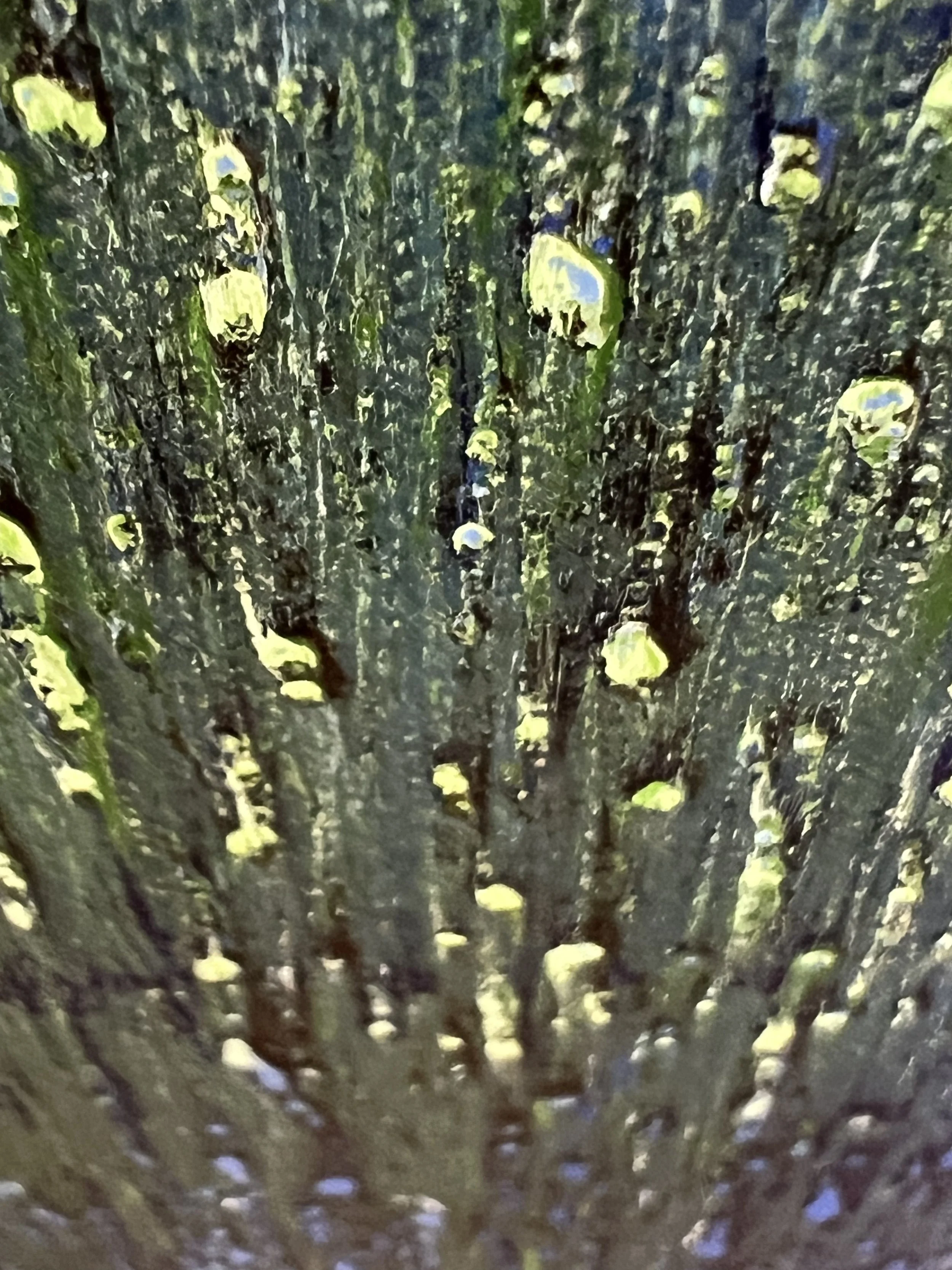 Photo 8-1-2026, 8 12 50 am.jpg